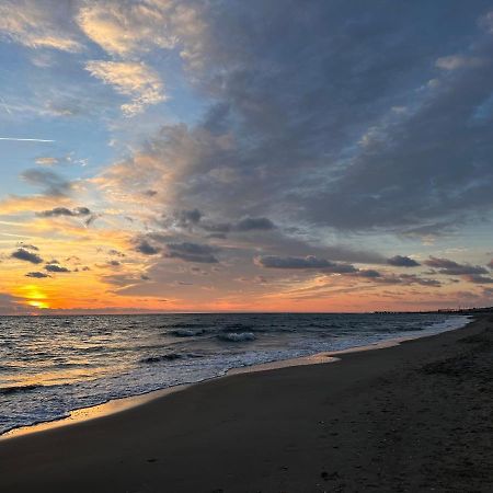 리도디오스티아 Attico Al Mare 아파트 외부 사진